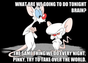 pinky-and-the-brain-what-are-we-going-to-do-tonight-39